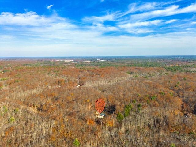 221 Frost Rd, Lyman, ME 04002 - bird's eye view of a forest