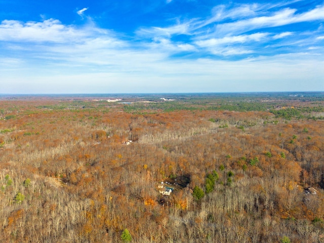 221 Frost Rd, Lyman, ME 04002 - drone / aerial view of a forest