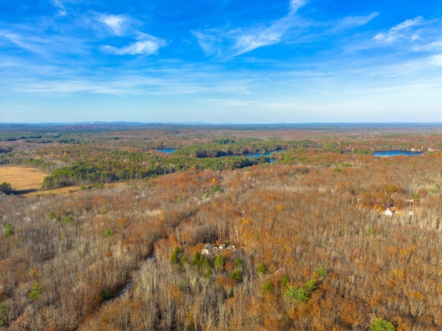 221 Frost Rd, Lyman, ME 04002 - bird's eye view