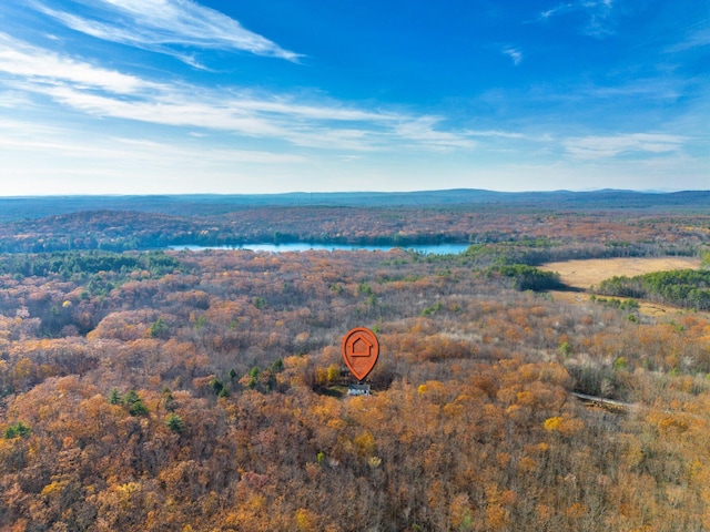 221 Frost Rd, Lyman, ME 04002 - aerial view of a large body of water and a heavily wooded area