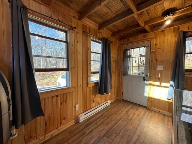 doorway with wooden walls, a healthy amount of sunlight, and baseboard heating