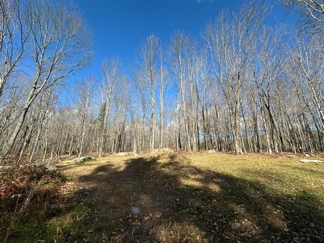 view of local wilderness