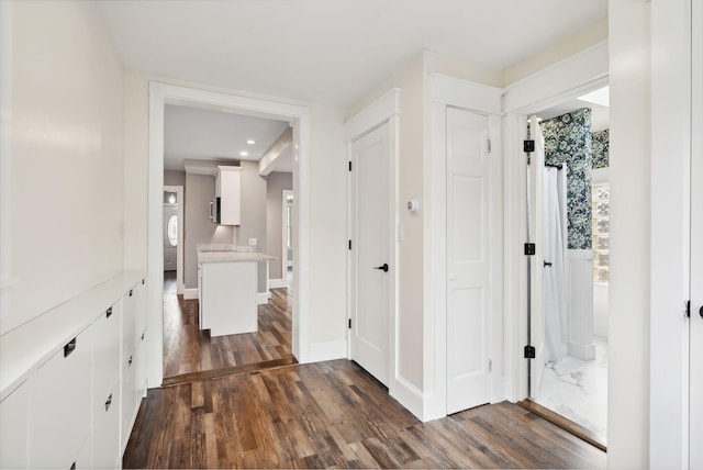 hallway featuring dark wood-type flooring