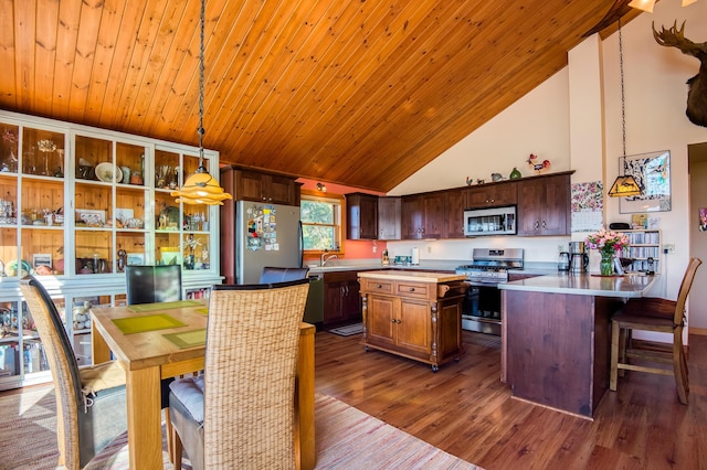 58 Wheeler Hill Rd, Phillips, ME 04966 - kitchen featuring stainless steel appliances, high vaulted ceiling, dark wood-style flooring, light countertops, and pendant lighting