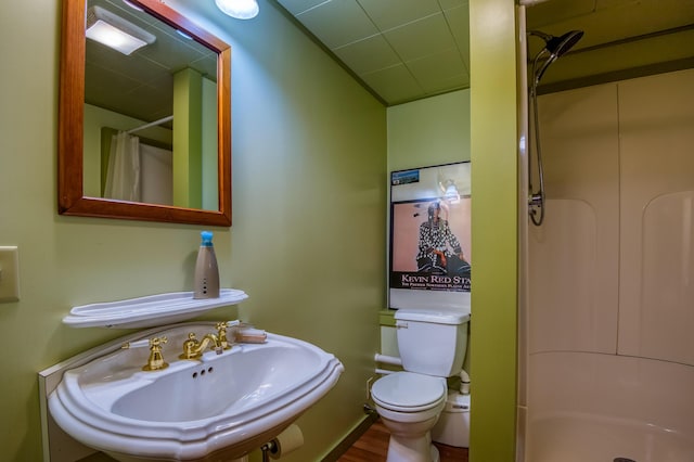 58 Wheeler Hill Rd, Phillips, ME 04966 - bathroom with a sink, a stall shower, toilet, and wood finished floors