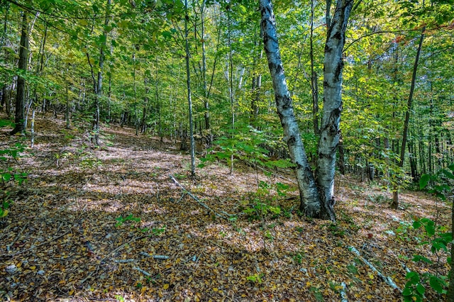 58 Wheeler Hill Rd, Phillips, ME 04966 - view of wooded area
