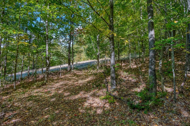 58 Wheeler Hill Rd, Phillips, ME 04966 - view of woods