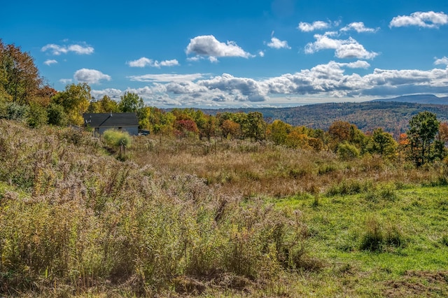 58 Wheeler Hill Rd, Phillips, ME 04966 - view of mountain background with a heavily wooded area