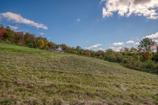 58 Wheeler Hill Rd, Phillips, ME 04966 - view of tree filled area with a view of countryside
