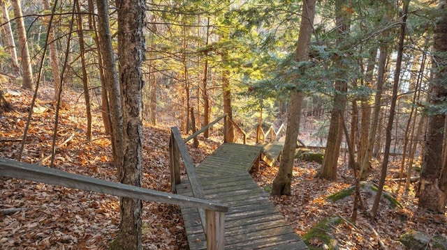 view of community featuring a wooded view