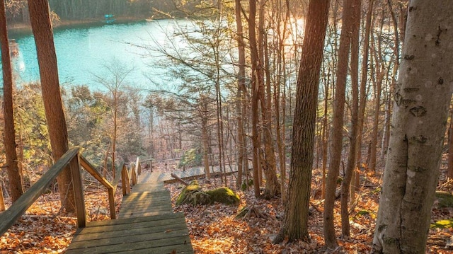 surrounding community with a wooded view and a water view