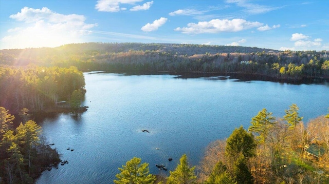 property view of water featuring a forest view