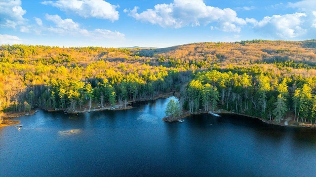 birds eye view of property with a forest view and a water view