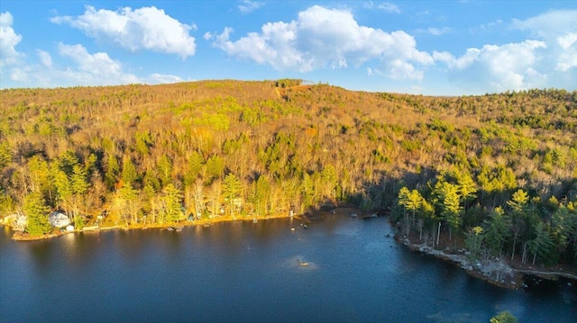 drone / aerial view with a view of trees and a water view