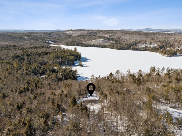 drone / aerial view with a view of trees