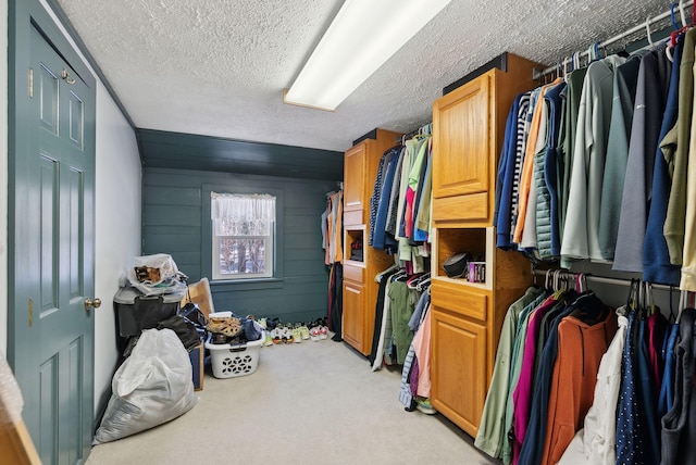spacious closet with light carpet