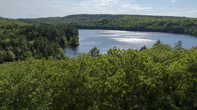 548 Allen Pond Rd, Greene, ME 04236 - photo 18