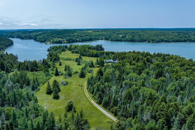 246 Marsh Stream Ln, Machiasport, ME 04655 - bird's eye view of a heavily wooded area and a nearby body of water