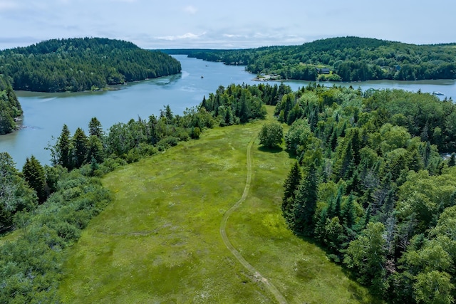 246 Marsh Stream Ln, Machiasport, ME 04655 - aerial view of a heavily wooded area and a nearby body of water