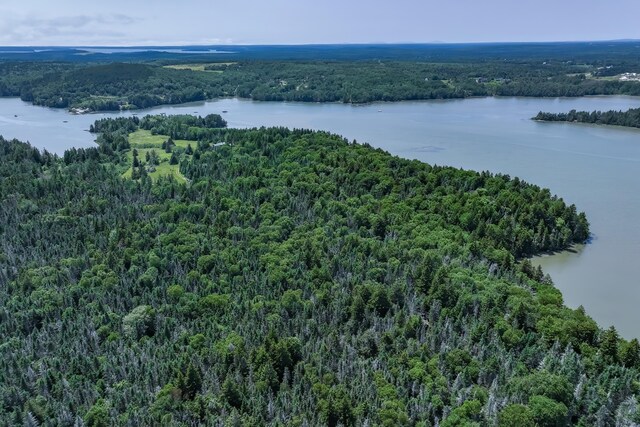 246 Marsh Stream Ln, Machiasport, ME 04655 - aerial view of a large body of water