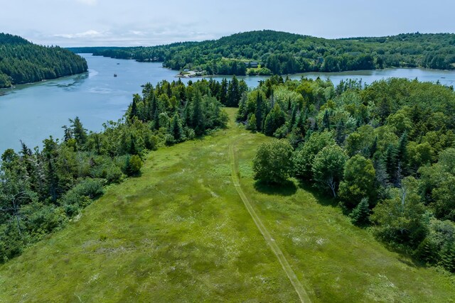246 Marsh Stream Ln, Machiasport, ME 04655 - aerial view of a heavily wooded area and a large body of water