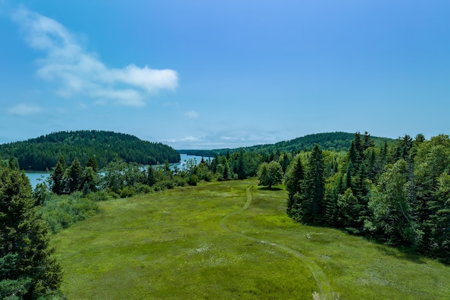 246 Marsh Stream Ln, Machiasport, ME 04655 - view of mountain background featuring a large body of water