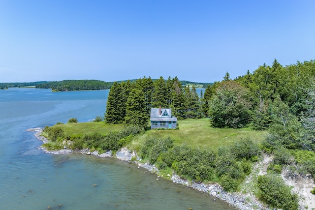 246 Marsh Stream Ln, Machiasport, ME 04655 - view from above of property featuring a large body of water and a heavily wooded area