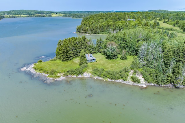 246 Marsh Stream Ln, Machiasport, ME 04655 - aerial overview of property's location with a forest and a large body of water