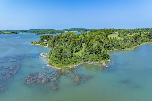 246 Marsh Stream Ln, Machiasport, ME 04655 - water view featuring a heavily wooded area