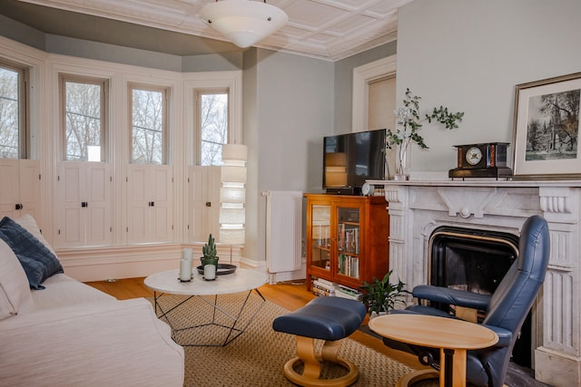 living room with radiator, ornamental molding, light wood-type flooring, and a premium fireplace