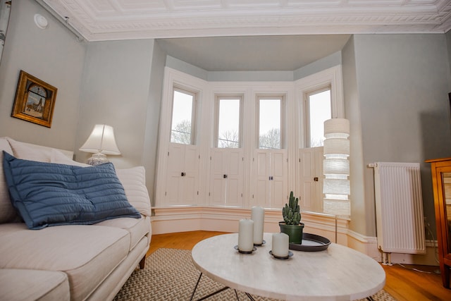 living room featuring crown molding, light hardwood / wood-style flooring, and radiator heating unit