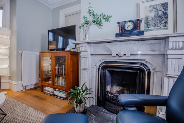 room details with a fireplace