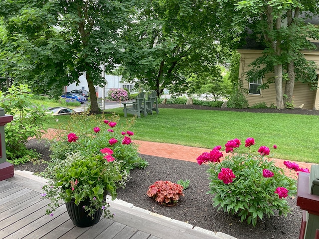 view of yard with a deck