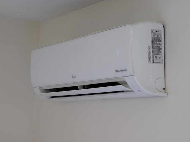 details with a wall mounted AC