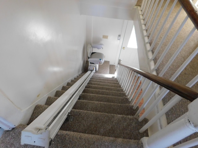 staircase featuring carpet flooring