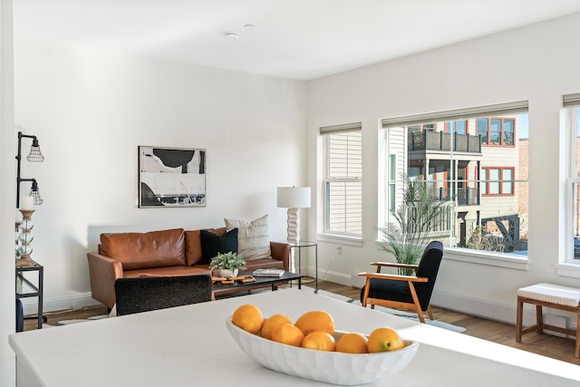 living room featuring hardwood / wood-style floors