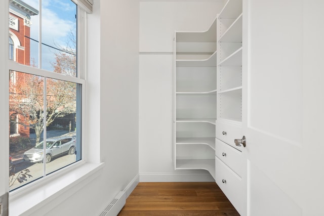 walk in closet with dark hardwood / wood-style floors