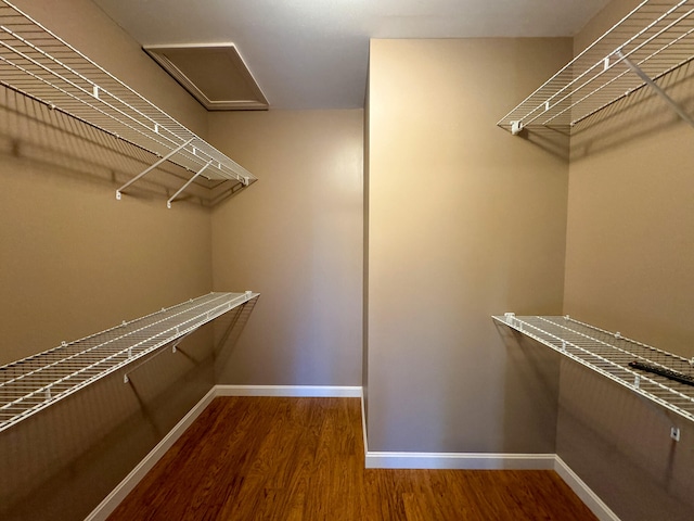 spacious closet with hardwood / wood-style flooring