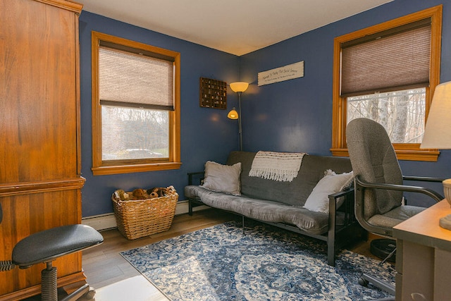 office area featuring light wood-type flooring, a healthy amount of sunlight, and a baseboard heating unit