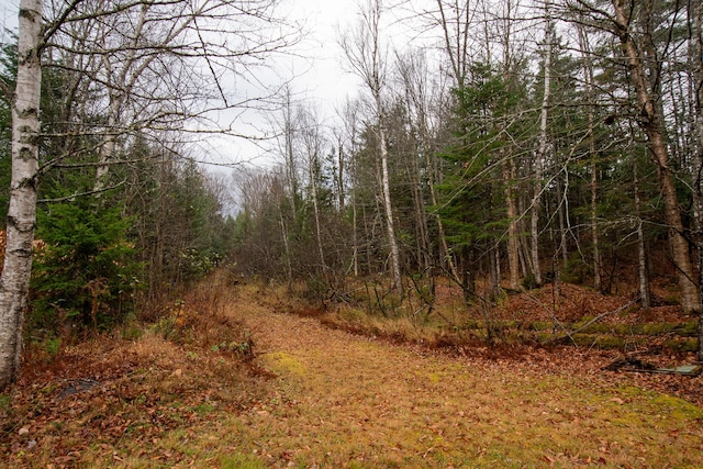 865 Barnard Rd, Williamsburg Twp, ME 04414 - view of tree filled area