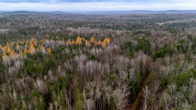 865 Barnard Rd, Williamsburg Twp, ME 04414 - aerial overview of property's location featuring a heavily wooded area and mountains