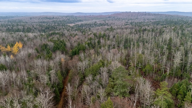 drone / aerial view with a mountain view