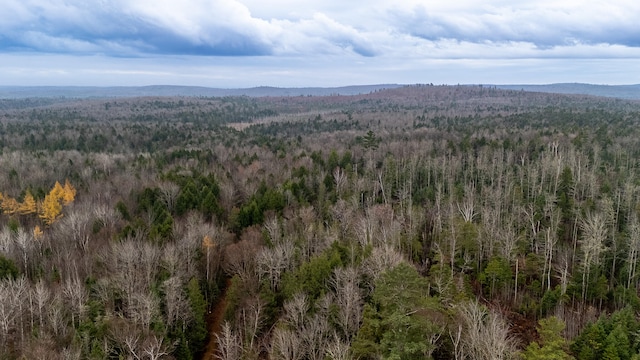 drone / aerial view with a mountain view