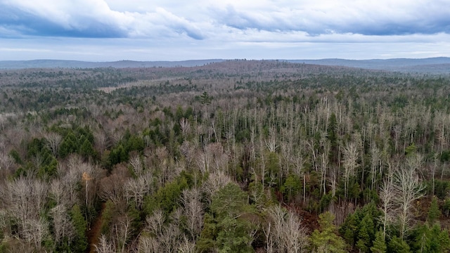 865 Barnard Rd, Williamsburg Twp, ME 04414 - view of mountain background featuring a heavily wooded area