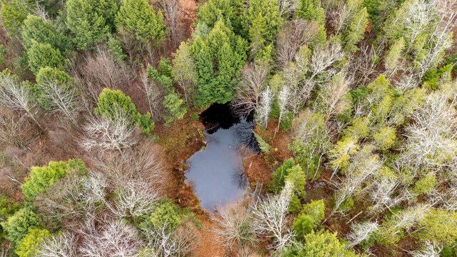 865 Barnard Rd, Williamsburg Twp, ME 04414 - bird's eye view