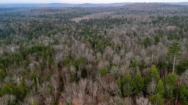 865 Barnard Rd, Williamsburg Twp, ME 04414 - aerial view of property's location with a forest and a mountain backdrop