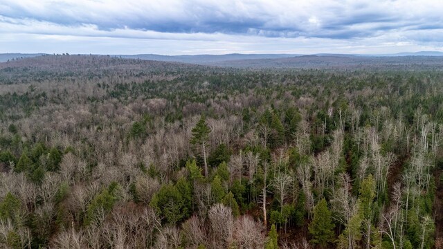865 Barnard Rd, Williamsburg Twp, ME 04414 - aerial view of a heavily wooded area and a mountainous background