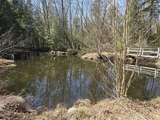 865 Barnard Rd, Williamsburg Twp, ME 04414 - photo 27