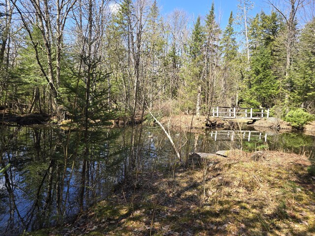 865 Barnard Rd, Williamsburg Twp, ME 04414 - photo 68