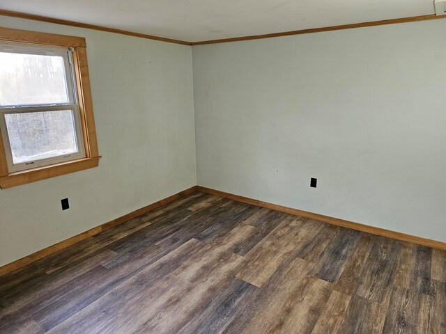 empty room featuring dark wood-type flooring and crown molding